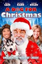 Watch A Dog for Christmas Megashare8