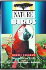 Watch PBS Nature - Extraordinary Birds Megashare8