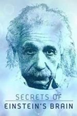 Watch Secrets of Einstein\'s Brain Megashare8