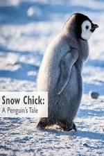 Watch Snow Chick: A Penguin's Tale Megashare8