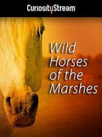 Watch Wild Horses of the Marshes Megashare8