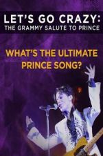 Watch Let\'s Go Crazy: The Grammy Salute to Prince Megashare8