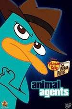 Watch Phineas And Ferb Animal Agents Megashare8