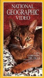 Watch Cats: Caressing the Tiger Megashare8