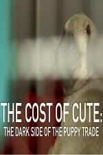 Watch The Cost of Cute: The Dark Side of the Puppy Trade Megashare8