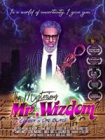 Watch The Mysterious Mr. Wizdom Megashare8