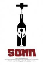 Watch Somm Megashare8