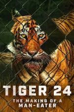 Watch Tiger 24 Megashare8