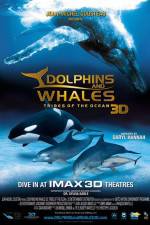 Watch Dolphins and Whales 3D Tribes of the Ocean Megashare8