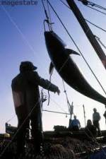 Watch National Geographic: Cheating Death Tuna Cowboys Megashare8