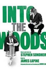 Watch Into the Woods Megashare8