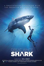 Watch Great White Shark Megashare8