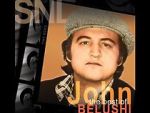 Watch Saturday Night Live: The Best of John Belushi Megashare8