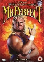 Watch The Life and Times of Mr. Perfect Megashare8