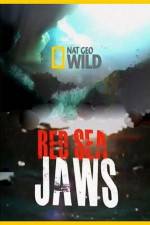 Watch National Geographic Red Sea Jaws Megashare8