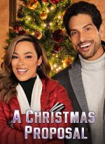 Watch A Christmas Proposal Megashare8