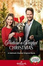 Watch Picture a Perfect Christmas Megashare8