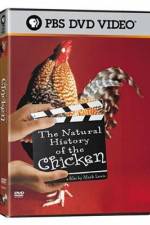 Watch The Natural History of the Chicken Megashare8