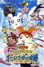 Watch Hamtaro Movie 3: Ham Ham Grand Prix Megashare8