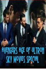 Watch Avengers Age of Ultron Sky Movies Special Megashare8