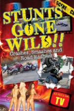 Watch Stunts Gone Wild: Crashes, Smashes & Road Rashes! Megashare8