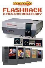 Watch Flashback NES Documentary Megashare8