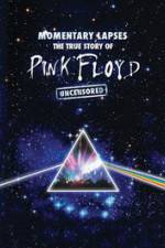Watch Pink Floyd: Momentary Lapses - The True Story Of Pink Floyd Megashare8