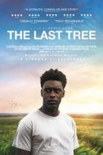 Watch The Last Tree Megashare8