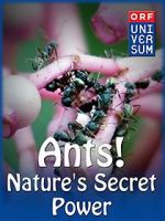 Watch Ants: Nature\'s Secret Power Megashare8