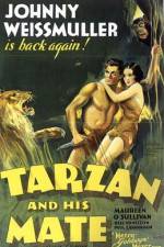 Watch Tarzan and His Mate Megashare8