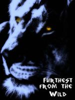 Watch Furthest from the Wild Megashare8