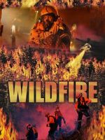 Watch Wild Fire Megashare8