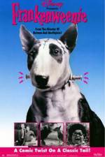 Watch Frankenweenie Megashare8