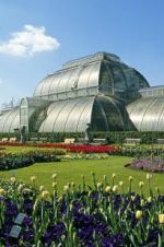 Watch Cruickshank on Kew: The Garden That Changed the World Megashare8