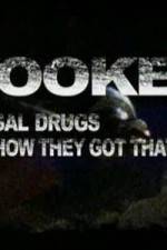 Watch Hooked: Illegal Drugs & How They Got That Way - LSD - Ecstacy and the Raves Megashare8