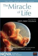 Watch The Miracle of Life Megashare8