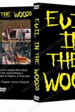 Watch Evil in the Woods Megashare8