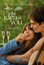 Watch The Idea of You Megashare8