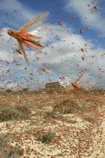 Watch Swarm Chasers: Locusts Megashare8