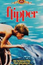 Watch Flipper Megashare8