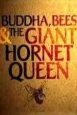 Watch Natural World Buddha Bees and the Giant Hornet Queen Megashare8