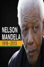 Watch Nelson Mandela: The Final Chapter Megashare8