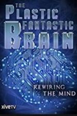 Watch The Plastic Fantastic Brain Megashare8