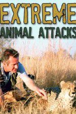 Watch Extreme Animal Attacks Megashare8
