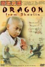 Watch Long zai Shaolin Megashare8