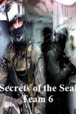 Watch Discovery Channel Secrets of Seal Team 6 Megashare8