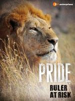 Watch Pride - Ruler\'s at Risk Megashare8