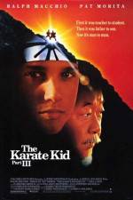 Watch The Karate Kid, Part III Megashare8