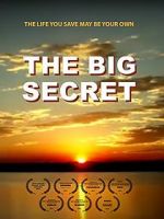 Watch The Big Secret Megashare8