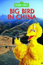 Watch Big Bird in China Megashare8